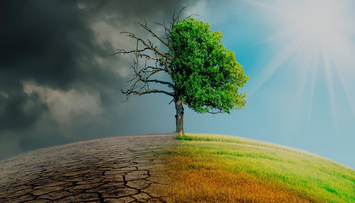 P come Pianeta e Prosperità